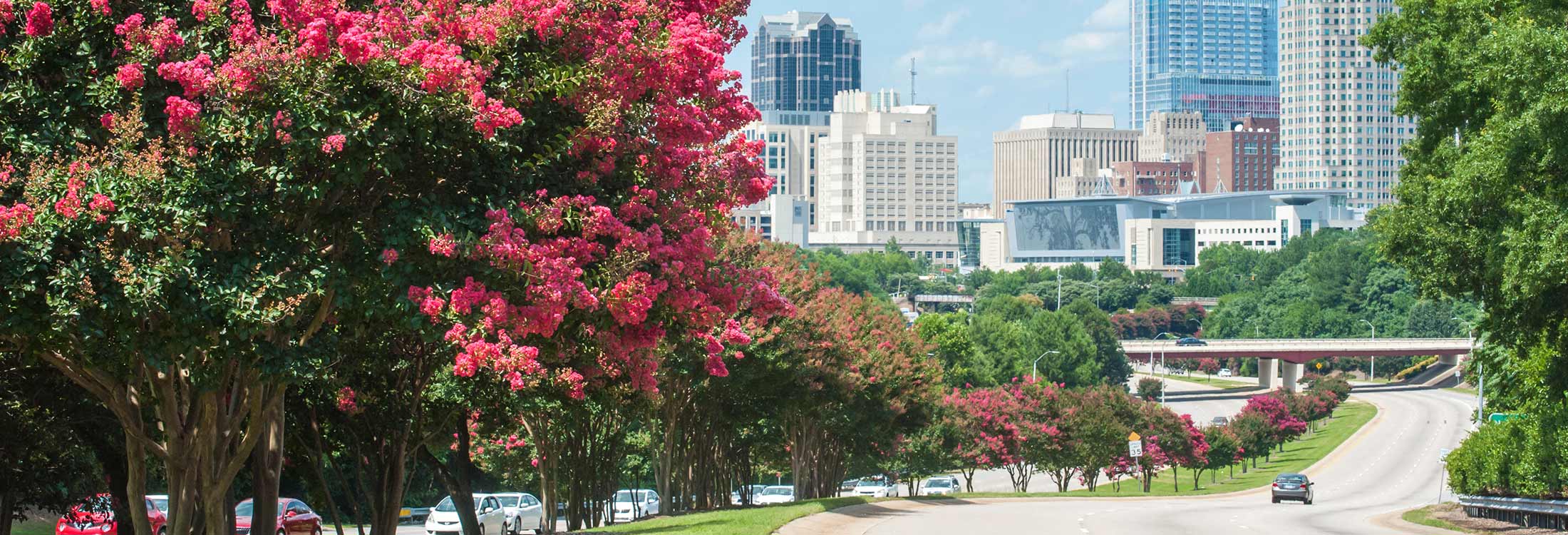 Cheap Auto Insurance In Raleigh Raleigh Insurance Group