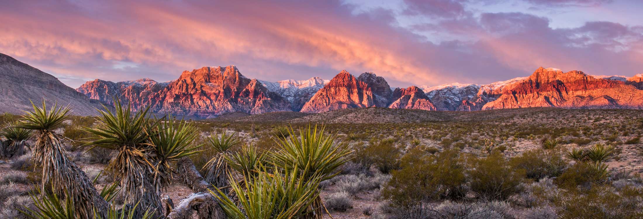 DUI Car Insurance in Nevada (With Quotes) | Insurify®