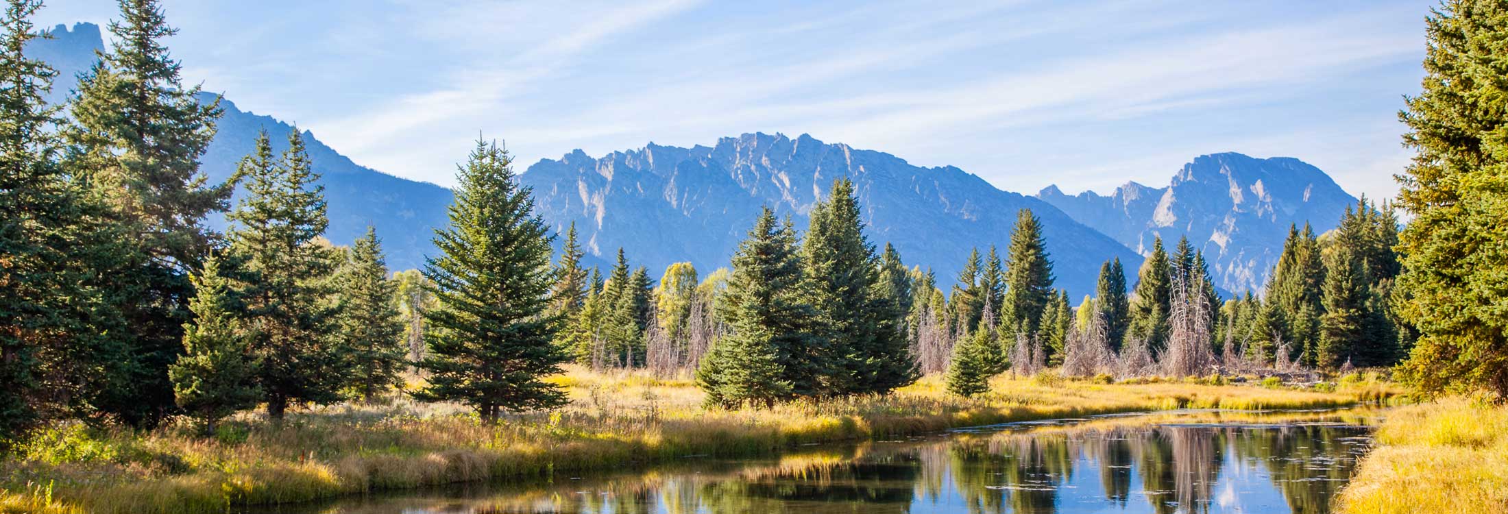 Wyoming Average Cost of Car Insurance Rates (2021) Insurify®